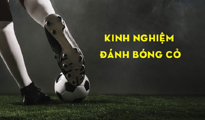 Cách soi kèo bóng cỏ hiệu quả