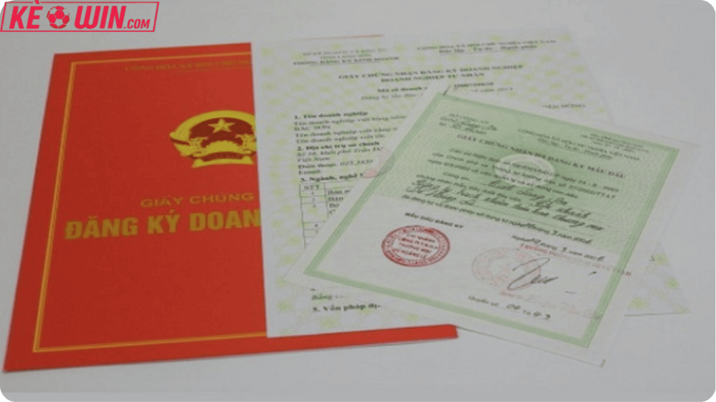 wiselaw.io được cấp giấy phép hoạt động hợp pháp