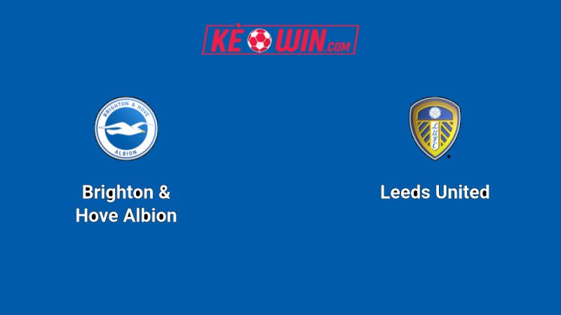 Brighton & Hove Albion vs Leeds United – Kèo bóng đá 22h00 01/11/2025 – Ngoại hạng Anh